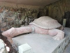 -上海佘山国家森林公园天马山园