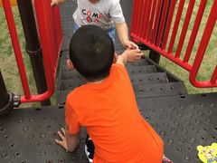 -菊园百果园