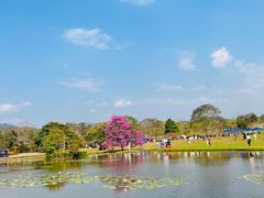 -中国科学院西双版纳热带植物园
