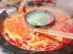 -渝大狮毛肚老火锅(遂宁万达店)