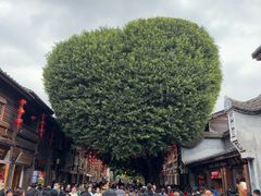 -三坊七巷历史文化街区