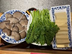 蘑菇-东镇老火锅(长春路首店)