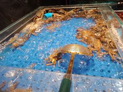 -舟市水产蒸汽活海鲜自助(卓悦汇店)