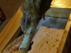 -蔡记·九米羊肉炉(东渡店)