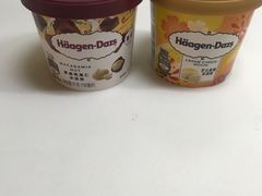 -哈根达斯(西安高新店)