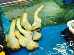 -万宝海鲜舫(劳动公园店)