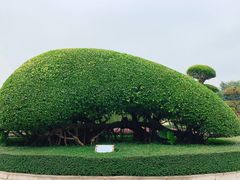-南宁南湖公园
