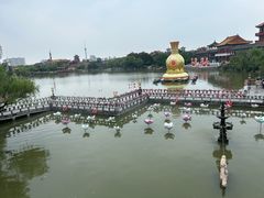 -翰园碑林