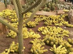 -南通洲际绿博园