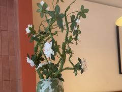 -姥姥家春饼店(惠新东街店)