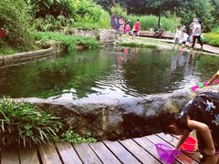 -成都市活水公园