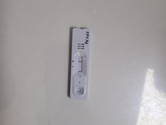 -伟伟宠物医院·CT影像中心·瑞派犬猫综合性门诊(汉口总院)
