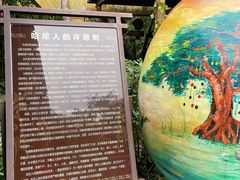 -西双版纳原始森林公园