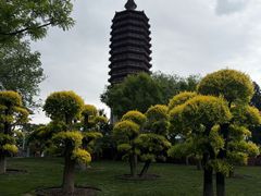 -西海子公园