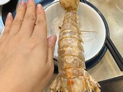 -北海港酒楼 海鲜代加工 粤菜(淡村商贸城店)