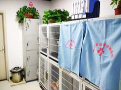 -全心全意连锁动物医院(加州店)