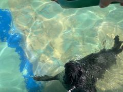 -太平洋海底世界