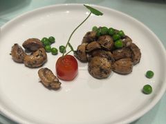 -尘香•传统川菜(创汇首座店)