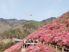 -木兰云雾山
