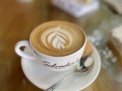 -萨尔瓦多Salvador's