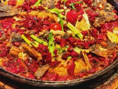 -老板恋上鱼(恒隆广场店)