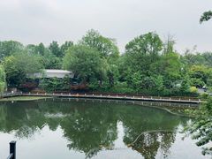 -朴墅(西湖青芝坞店·杭帮菜·家宴.14年的店)