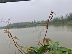 -翠湖国家城市湿地公园
