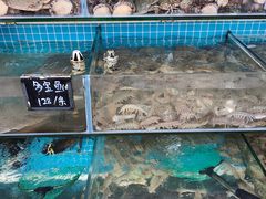 -北戴河庆山饭店·海鲜砂锅粥(北戴河黑石路店)