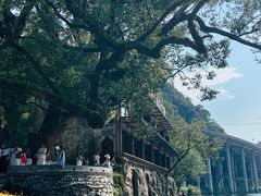 -上坦村