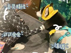 -瑞虹新天地月亮湾