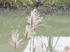 -苏州吴中太湖旅游区