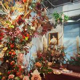 吾肆Flora Cafe Bar的秘密花园