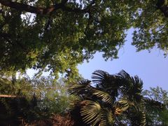 iphone_upload_pic-包公祠