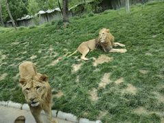 -北京野生动物园