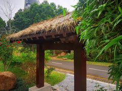 -深圳国际园林花卉博览园