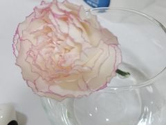 -眉州东坡(亚运村店)