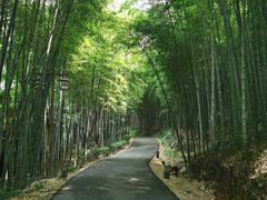 -苏州环秀晓筑养生度假村