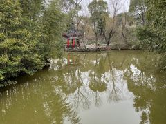 -南汇桃花村
