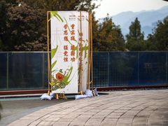 -如意山房柿子树下餐厅