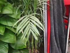 -秦美花卉(天朗·莱茵小城2期店)