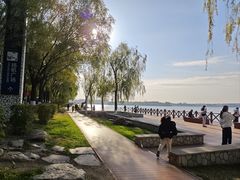 -丁香湖公园