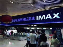 -农垦博纳国际影城(津奥广场IMAX店)