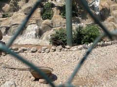 -石家庄市动物园