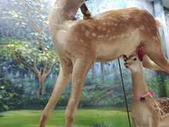 -北京鹿世界主题园