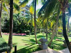 -海南清水湾莱佛士酒店