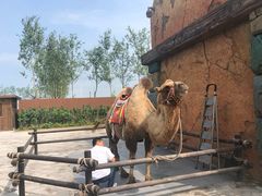 -波塞冬旅游度假区