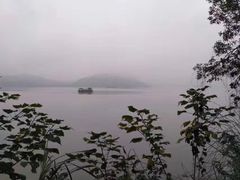 -浙江农林大学(东湖校区)