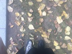 -黄金寨原生态旅游区