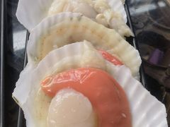 扇贝-丽江庭院之爱在路上(西单店)