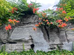 -北京积水潭医院(新街口院区)